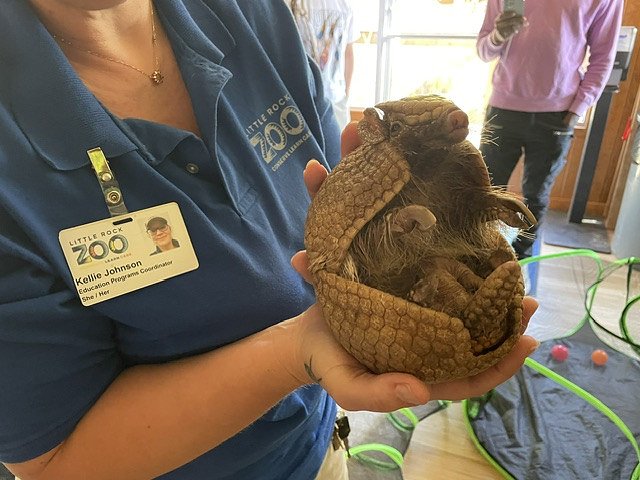 Science Club visits Little Rock Zoo - 10/24/24