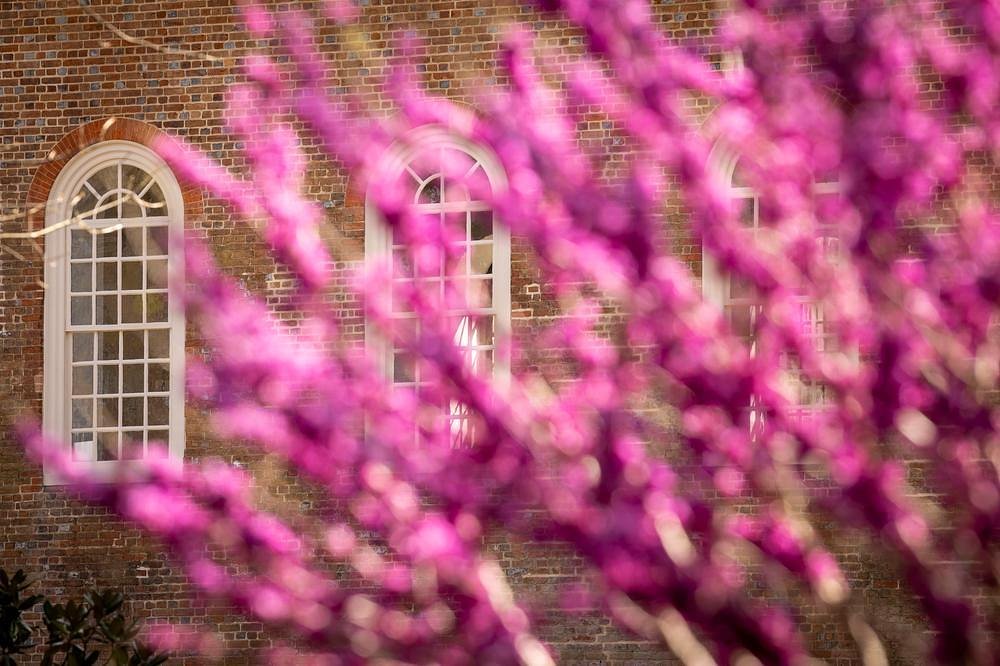 Spring scenes at the Wren Building
